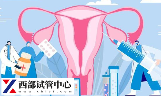 子宮內膜異位癥影響女性生育